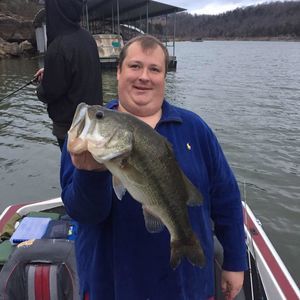 Meet your Posher, Phillip